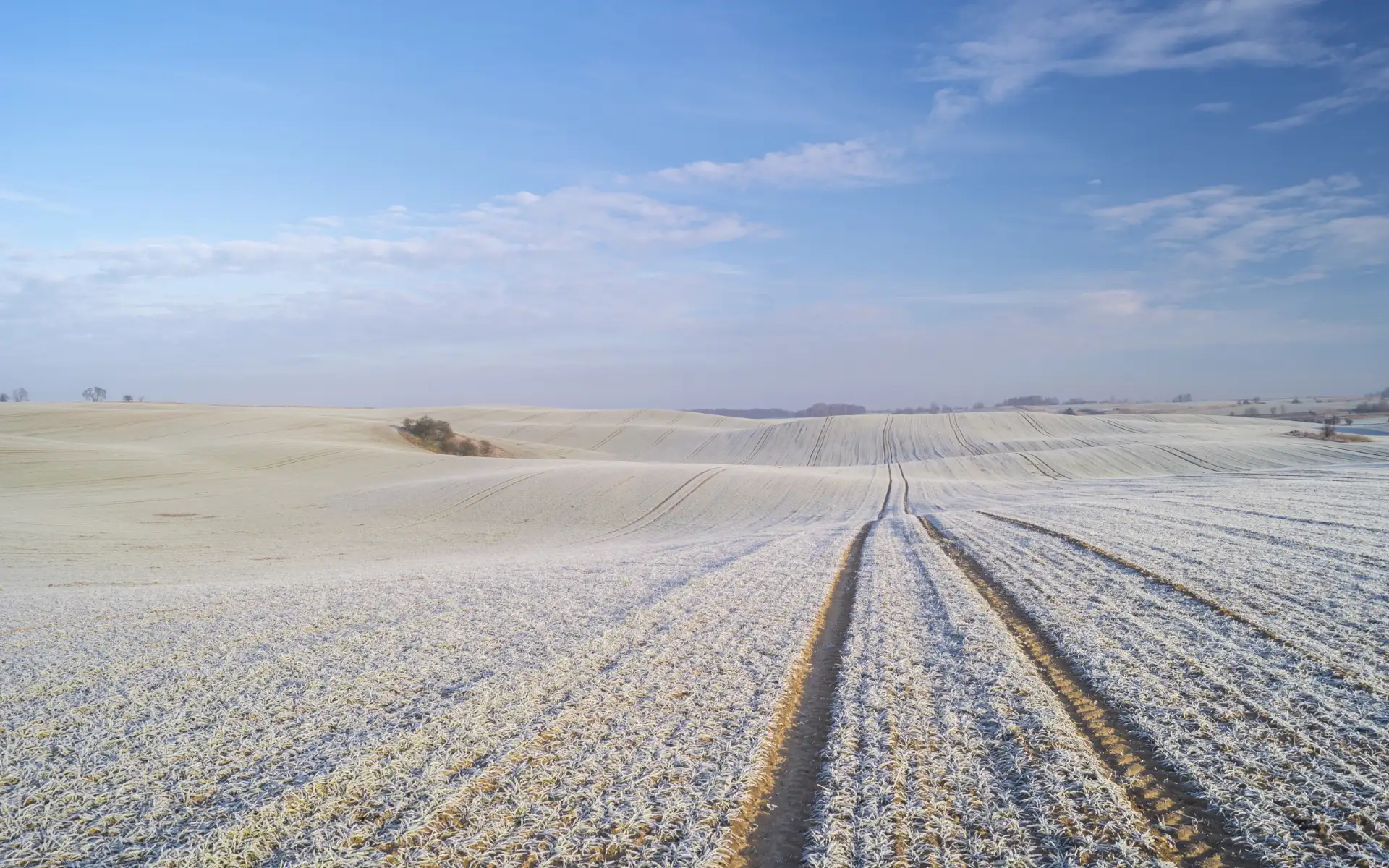 Snowfield with tracks